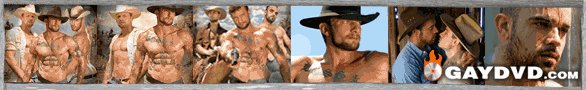 gay banner